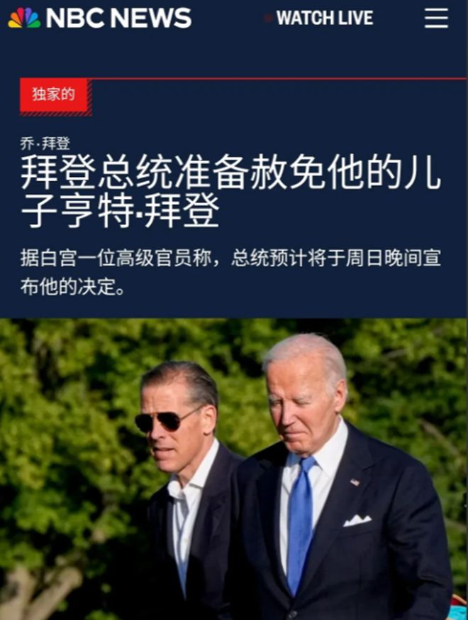 罪的儿子6月份重申不会赦免曾经感动全世界九游会j9入口登录新版拜登赦免有9项认(图2)