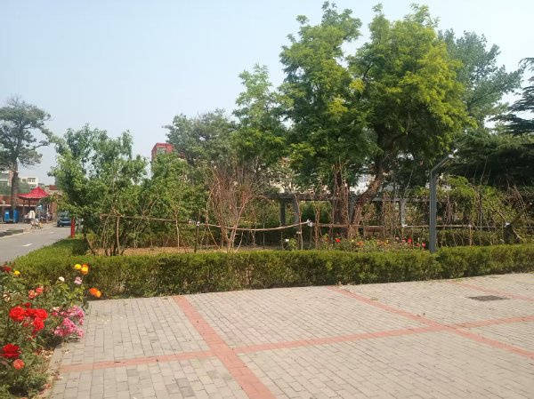 养老院｜光大汇晨科丰、金融街街道养老｜设施服务参观预约查询攻略j9九游真人游戏第一平台2026最新｜阿尔茨海默气切护理中高端(图5)