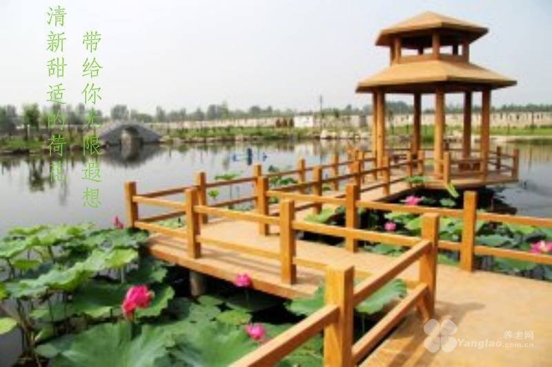 养老院｜光大汇晨科丰、金融街街道养老｜设施服务参观预约查询攻略j9九游真人游戏第一平台2026最新｜阿尔茨海默气切护理中高端(图13)