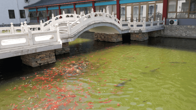 养老院｜光大汇晨科丰、金融街街道养老｜设施服务参观预约查询攻略j9九游真人游戏第一平台2026最新｜阿尔茨海默气切护理中高端(图28)